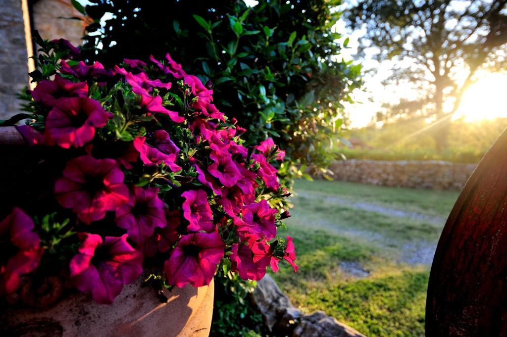 Agriturismo I Monti Semproniano Room photo